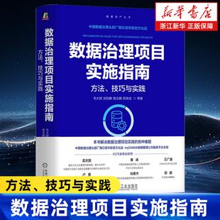 数据治理项目实施指南:方法、技巧与实践 毛大群 汤贺静 高志鹏 郑渤龙 数据要素 数据资产入表 数据资产管理 数据资产评估