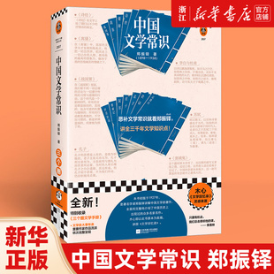 中国文学常识 郑振铎 恶补中国文学常识 文学知识点诗词 苏轼 传统文化 国学入门 文学史 木心 文学回忆录 读客