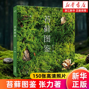 【新华书店旗舰店】苔藓图鉴 张力 150张高清照片 自然科普 带你体会苔藓的有灵且美 趣味植物科普读物 正版书籍