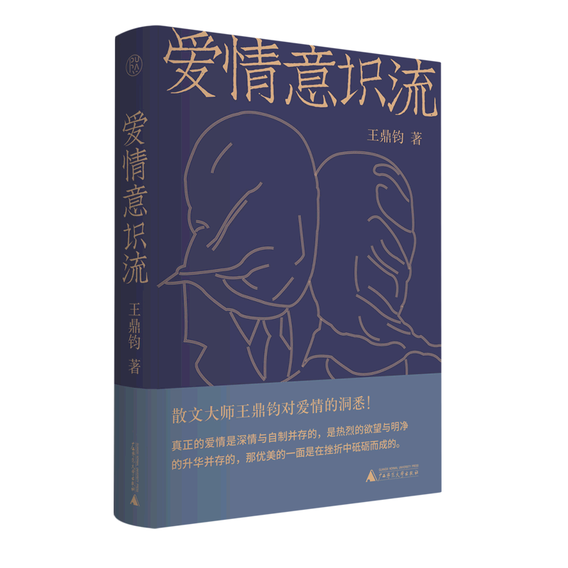爱情意识流(精)