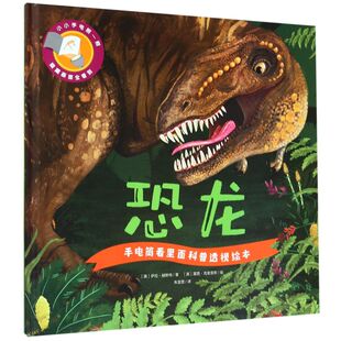 卡伦·布朗著亲子互动科普百科2 6岁幼儿园认知启蒙孩子儿童揭秘身体人体恐龙动物科普大百科 手电筒看里面科普透视绘本 恐龙