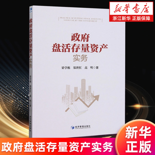 【新华书店旗舰店】政府盘活存量资产实务 梁学栋//郑世红//高明 正版书籍