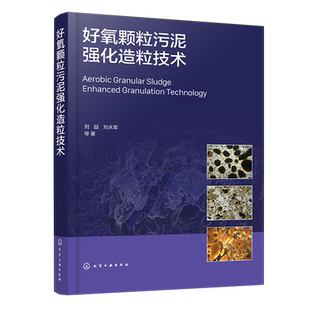 好氧颗粒污泥强化造粒技术