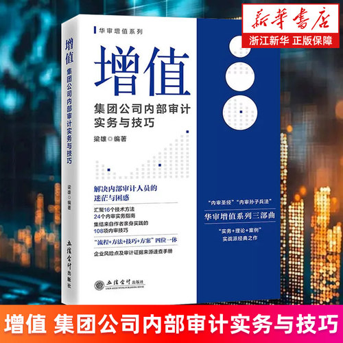 【新华书店旗舰店】增值:集团公司内部审计实务与技巧 梁雄 华审增值系列三部曲 正版书籍