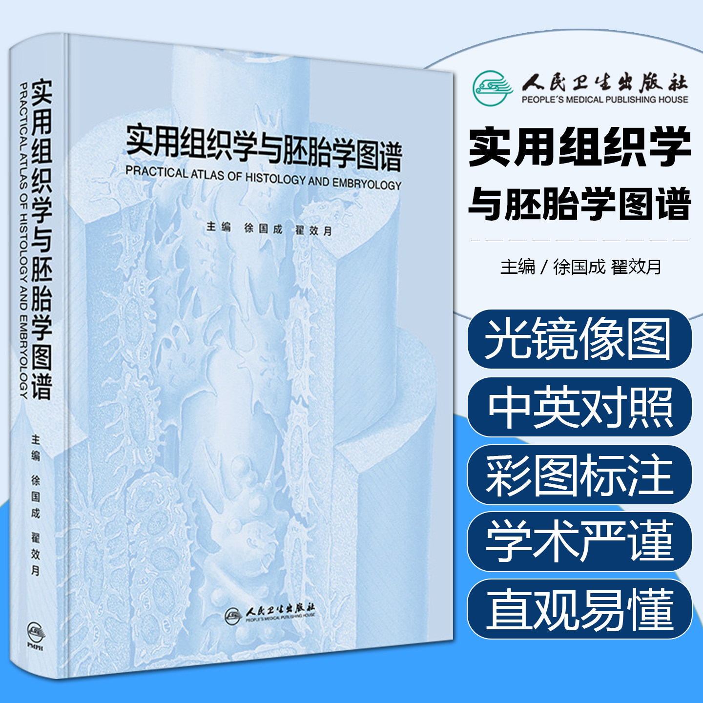 实用组织学与胚胎学图谱 徐国成翟效月病理图像全彩手绘教材奈特局部临床医学教学人民卫生出版社人体解剖学彩色图谱