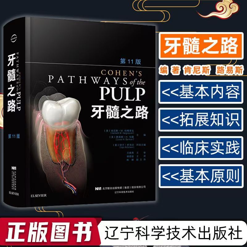 牙髓之路第11版牙髓治疗并发症的处理口腔科学书籍医学类专业书籍牙科牙髓治疗根管治疗图谱牙体牙髓病学临床牙髓再生技口腔医学书