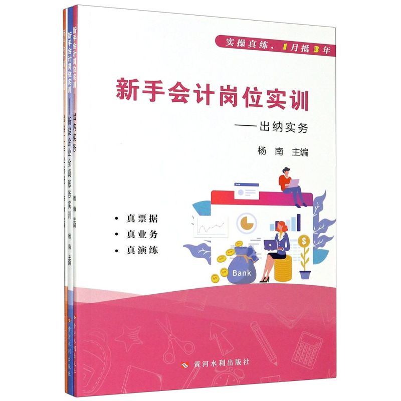 新手会计岗位实训(共3册)