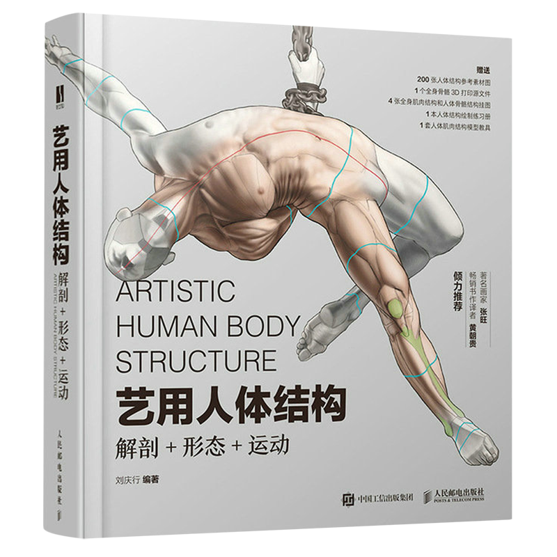 艺用人体结构:解剖+形态+运动
