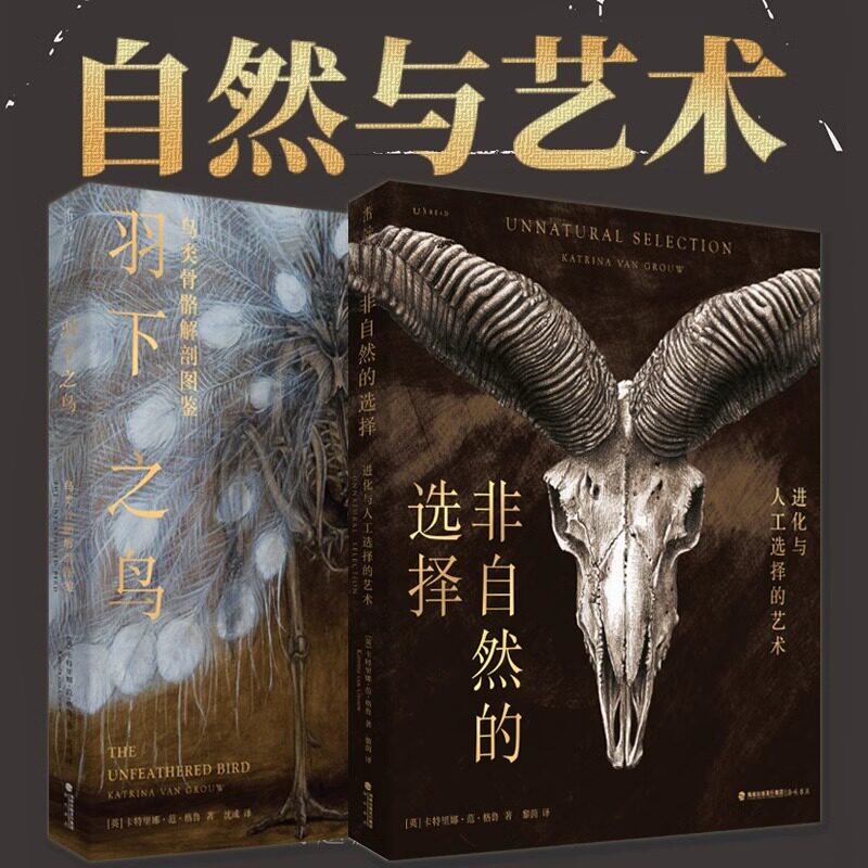 【套装2册】羽下之鸟+非自然的选择 艺术与科学完美结合 进化与人工选择的艺术 鸟类骨骼解剖图鉴