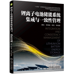 锂离子电池储能系统集成与一致性管理/储能科学与技术丛书/中国能源革命与先进技术丛书