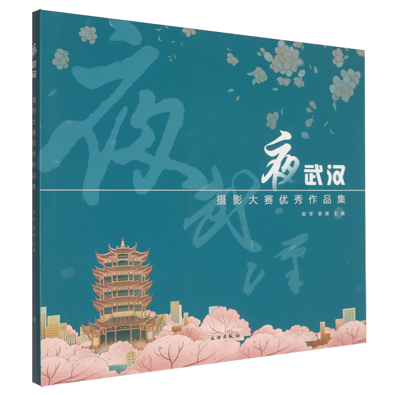 夜武汉:摄影大赛优秀作品集