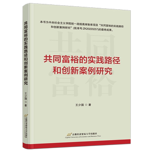 共同富裕的实践路径和创新案例研究