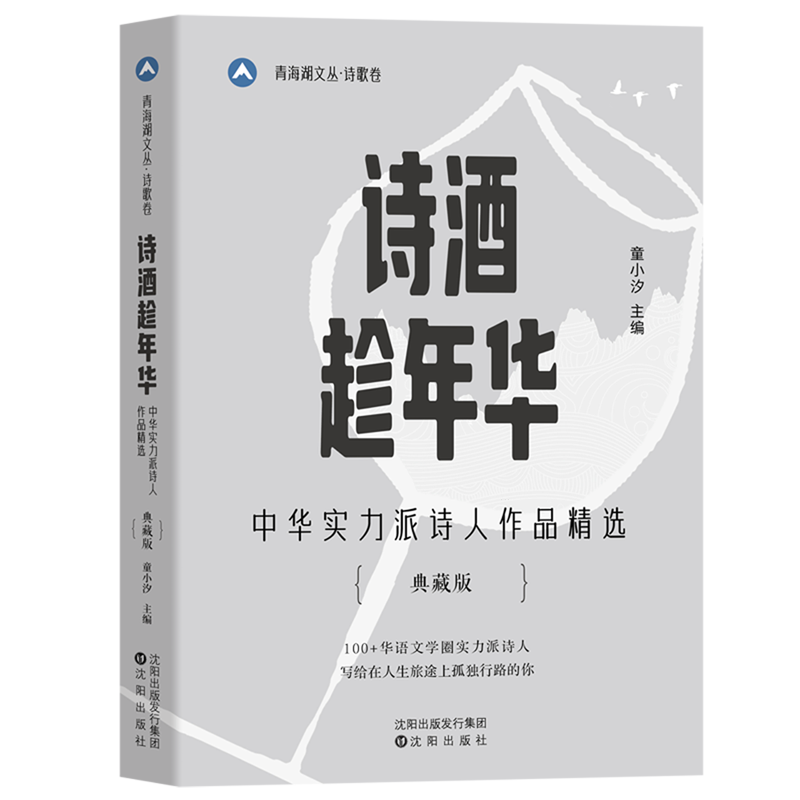 诗酒趁年华:中华实力派诗人作品精选