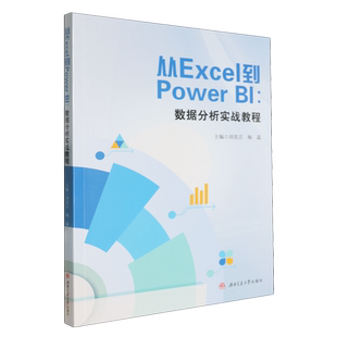 从Excel到Power 数据分析实战教程