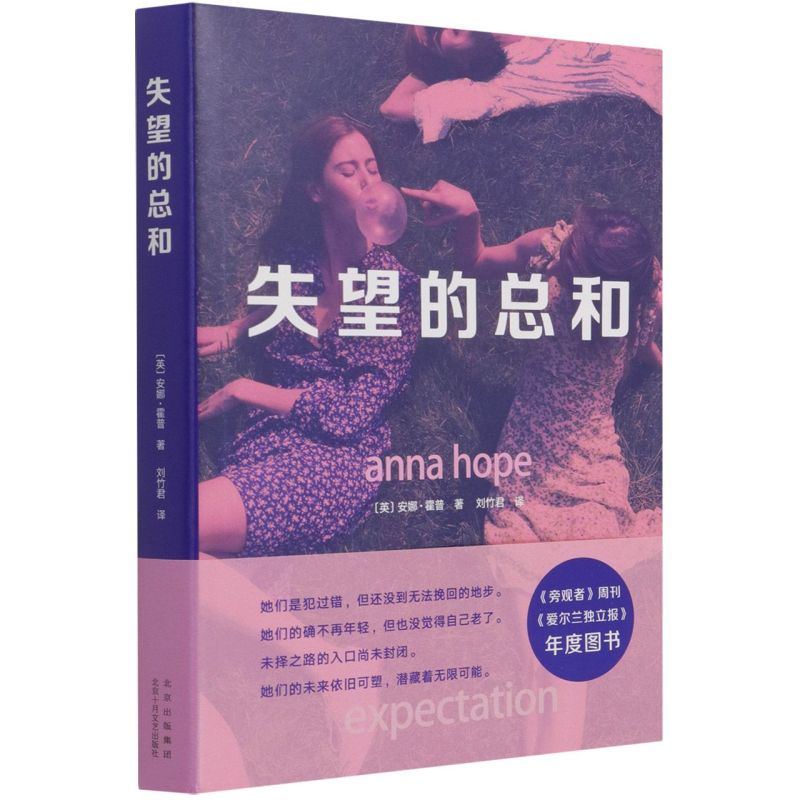 失望的总和 《旁观者周刊》《爱尔兰独立报》年度图书 《一个人的朝圣》作者力赞 外国文学小说书籍 新华旗舰店正版 新经典