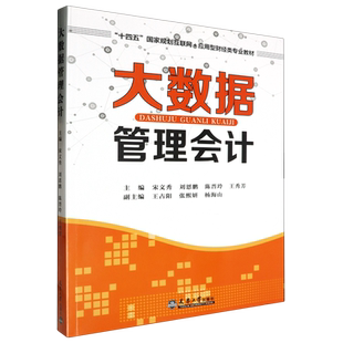大数据管理会计
