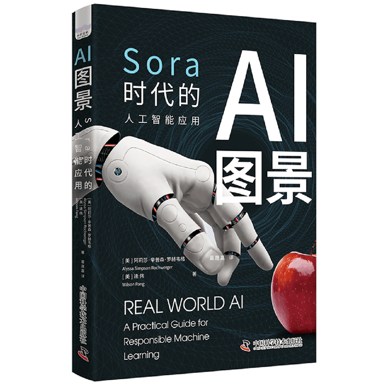 实战指南，轻松上手 高效应用人工智能