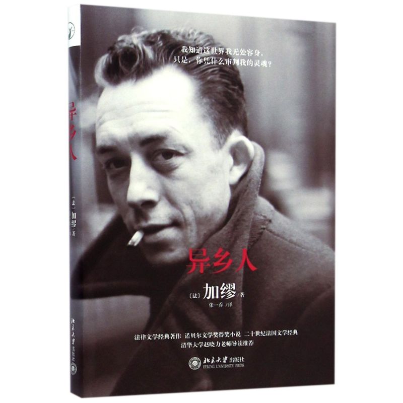 异乡人(精)