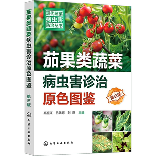 茄果蔬菜病虫害诊治畅销书再版 第三版 新型生物菌剂绿色防控虫害防治参考 茄果类蔬菜病虫害诊治原色图鉴 现代蔬菜病虫害防治丛书