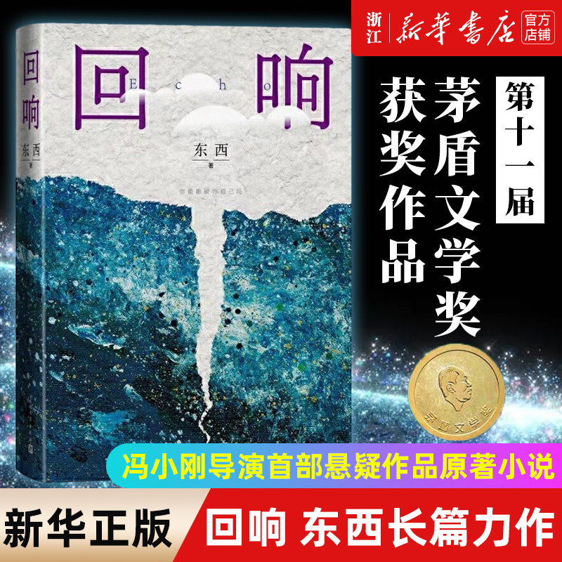 十一届茅盾文学奖 回响 东西长篇力作 拆解心理现实和生活真相+情感推理侦破推理小说模式 冯小刚 宋佳王阳包贝尔主演同名电视剧 书籍/杂志/报纸 现代/当代文学 原图主图