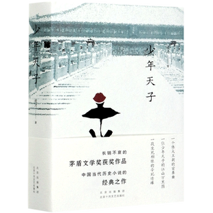 【新华书店】少年天子 凌力 二十年长销不衰的茅盾文学奖获奖作品 长篇历史小说 历史悲剧 新经典