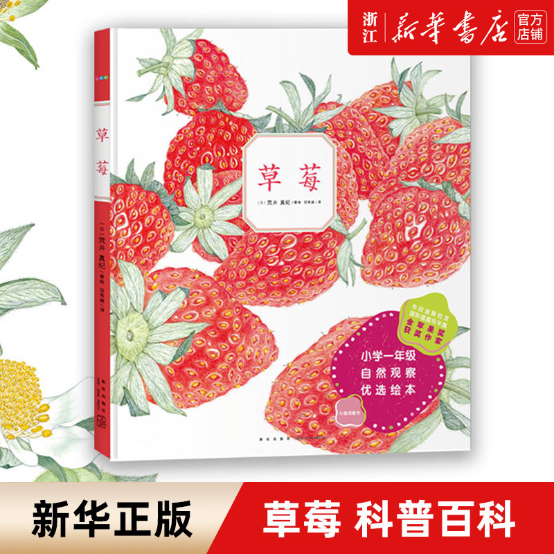 【新华书店旗舰店官网】草莓  田秀娟译 (日)荒井真纪绘 科普百科少儿