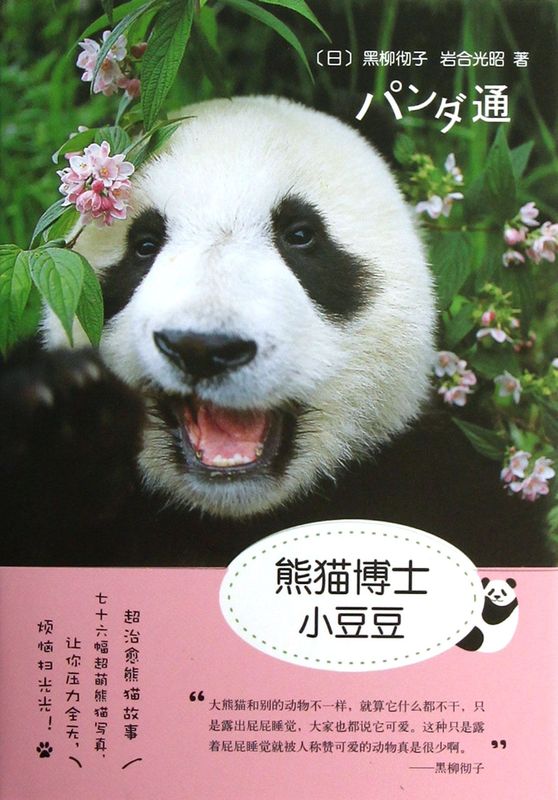 小豆系列 熊猫博士小豆豆 爱心树 儿童绘本故事书启蒙早教益智认知成长亲子阅读睡前翻翻书 新华书店旗舰店 正版图片