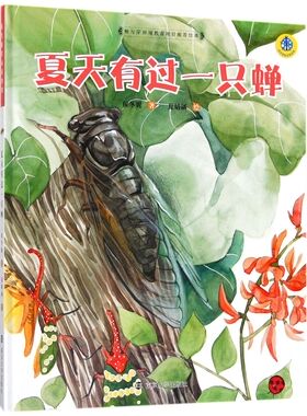 夏天有过一只蝉(精)/保冬妮绘本昆虫馆 硬壳绘本一二年级小学生课外阅读故事书图画书3-6岁学龄前儿童绘本幼儿园宝宝睡前故事书籍