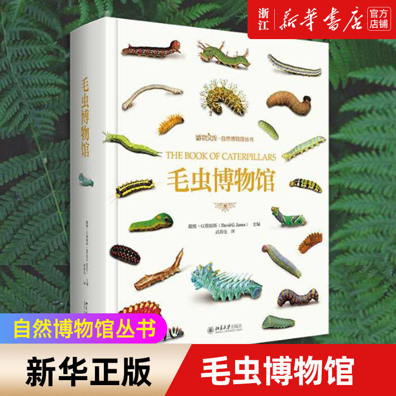 飞机盒发货【新华书店旗舰店】毛虫博物馆(精)/自然博物馆丛书博物文库 600副地理分布图 600种毛虫及其近似种 1800副高清插图