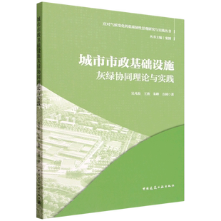城市市政基础设施灰绿协同理论与实践
