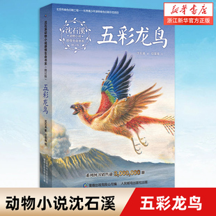 五彩龙鸟(修订版)/沈石溪动物小说感悟生命书系 小学生课外阅读书籍 三四五六年级课外书儿童读物 老师 图书读物 6-12周岁 小学生