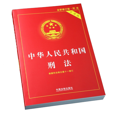 刑法实用版第十版2024新版