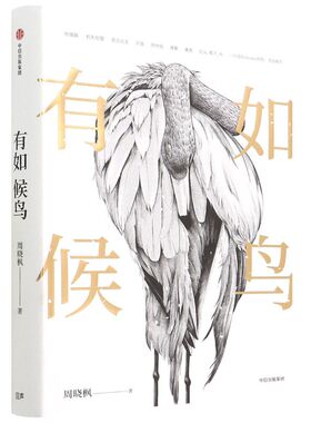 有如候鸟 周晓枫著 李敬泽 孟繁华 张莉 罗振宇等推荐 获花地文学奖年度散文 华语文学传媒大奖等奖项 中信出版社图书正版