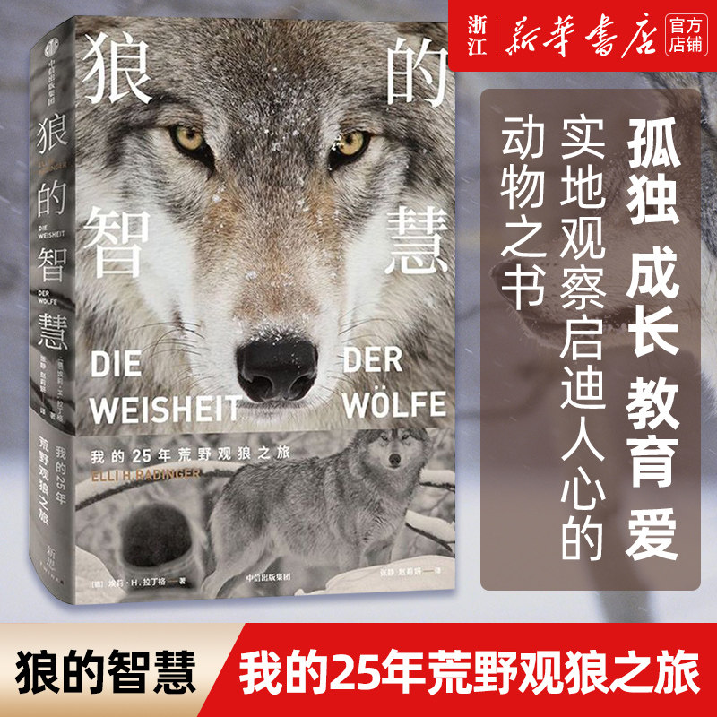 【新华书店旗舰店】正版包邮 狼的智慧 我的25年荒野观狼之旅 进化论 狼性 适应力 竞争力 领导力 人性 狼的百科 狼的行为 正版书 - 实物图