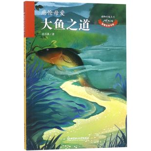 大鱼之道 正版 悲怆母爱 动物小说大王沈石溪致敬生命书系 小学生暑期阅读书目 儿童文学 新华书店旗舰店官网