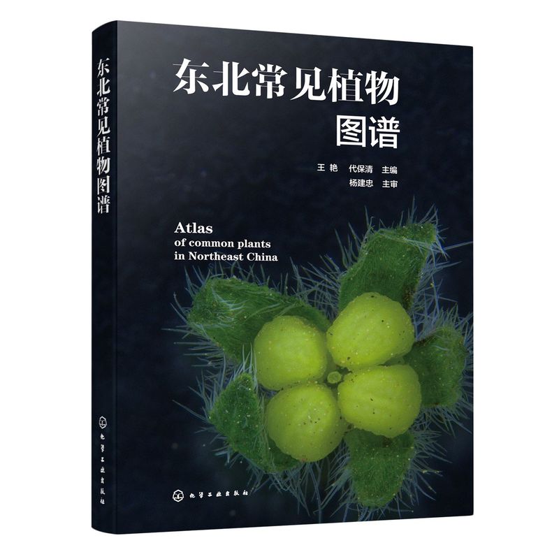 东北常见植物图谱 野外鉴别方法 植物的奥秘植物志 科种属种检索表速查一本通 青少年植物爱好者自然科普百科实用教程图鉴手册书籍