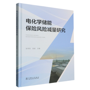 电化学储能保险风险减量研究