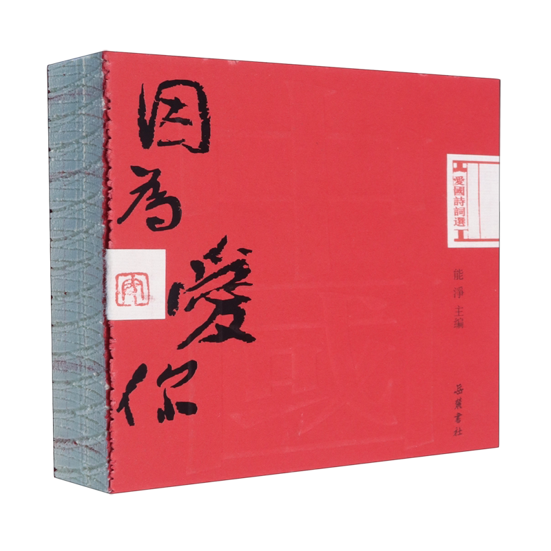 因为爱你