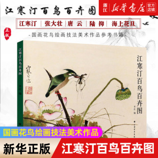 海上四大花旦 江寒汀百鸟百卉图 江寒汀花鸟绘画技法鉴赏书籍 国画花鸟绘画技法美术作品参考书籍 包邮 正版 新华书店旗舰店官网