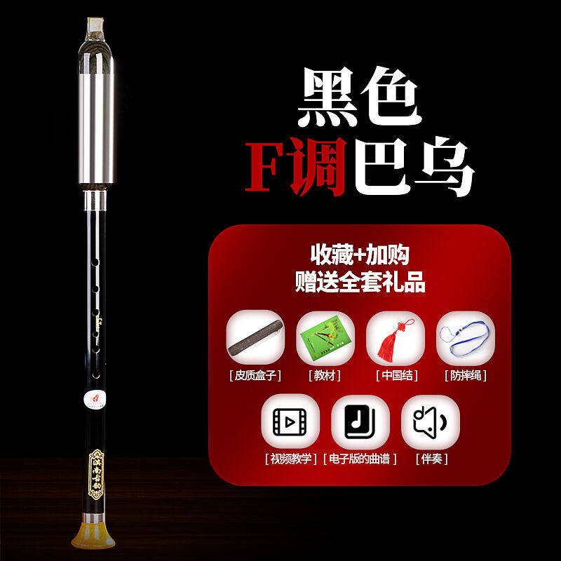巴乌乐器竖吹G/F/小D/C/降B/A/调儿童小学生成人初学者入门黑F调