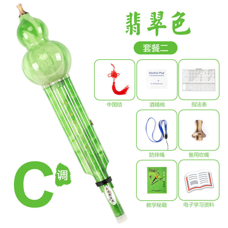 菲铭民族魂葫芦丝儿童初学专用c调/降b调小学生防摔成人胡芦丝乐