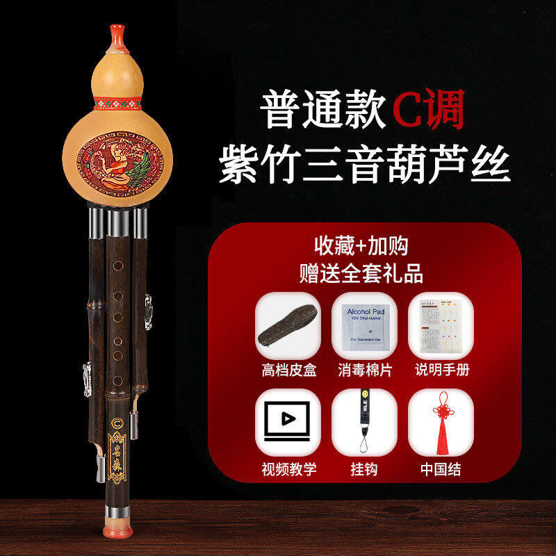 葫芦丝乐器c调降b调初学者儿童小学生演奏型双音葫芦丝成人竹紫竹