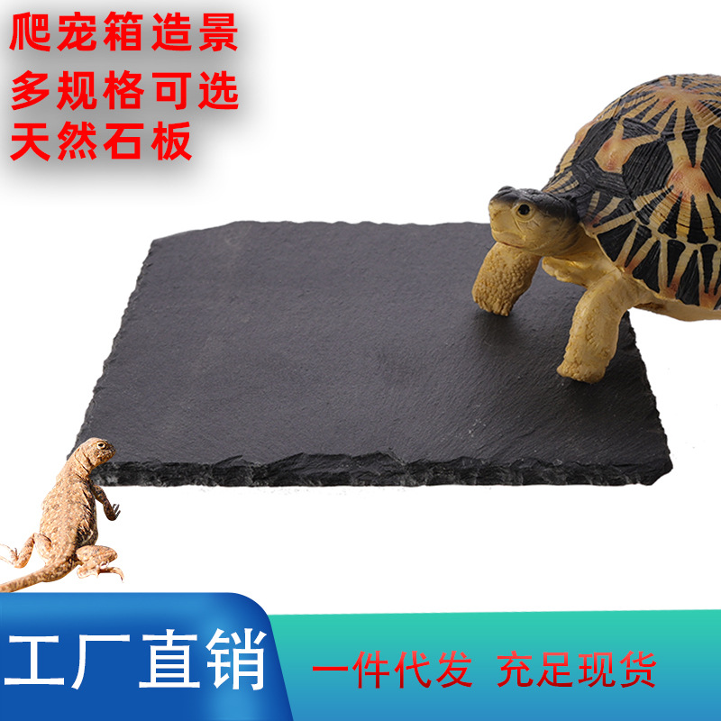 爬宠箱造景岩石板陆龟磨爪食盆