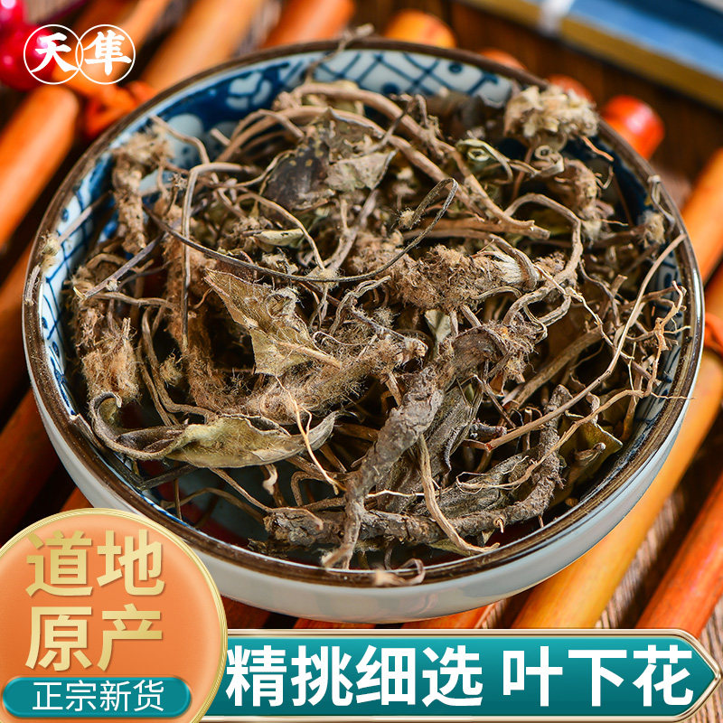 【地道无硫】云南中药材叶下花 追风箭根云南500克包邮有叶上花