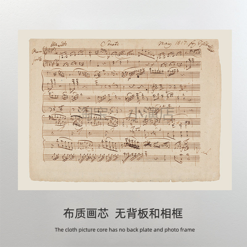 亲笔签名音乐手稿  弗朗茨舒伯特 教室兴趣班装饰墙 打印画布芯