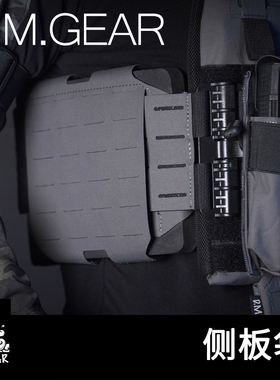 DMGear 战术背心 molle侧板袋 防弹插板包 侧围插板JPC FCPC FCSK