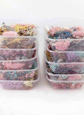 1 Box Dried Flower Dry Plants For Aromatherapy Candle Epoxy