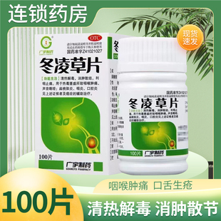 广宇制药冬凌草片100片 清热咽喉肿痛声音嘶哑扁桃体炎咽炎口腔炎