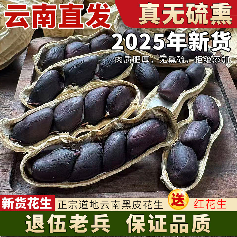 云南普洱特产黑花生带壳2025新货晒干生熟黑皮富硒黑花生米5斤