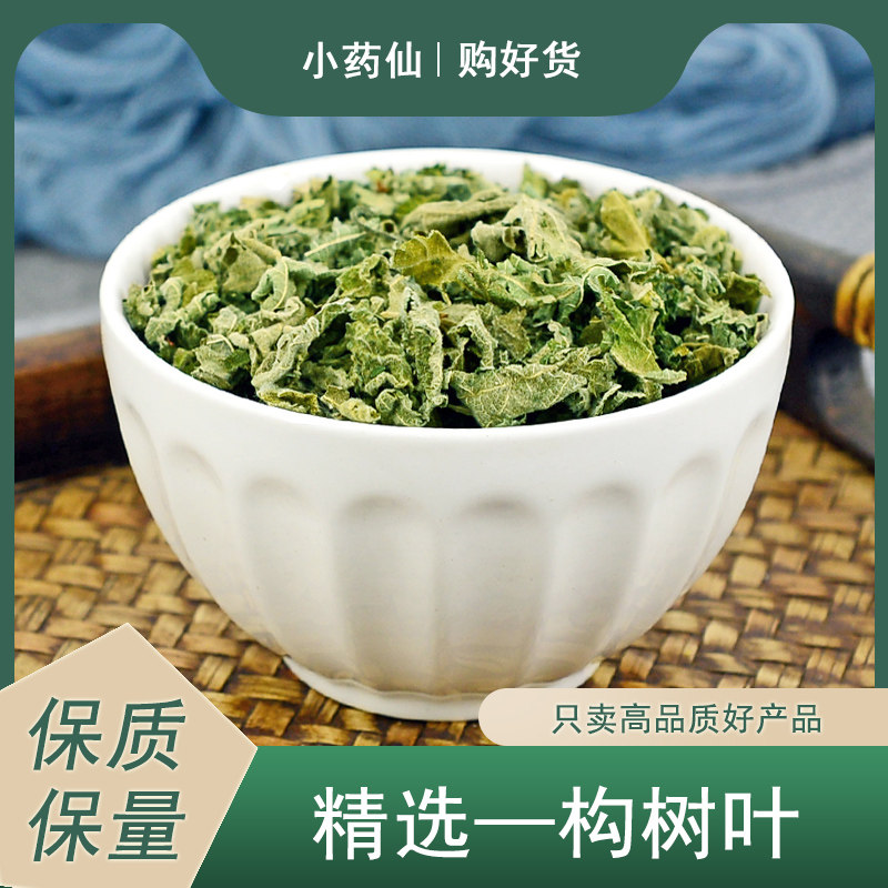 构树叶中药材小药仙正品野生楮桃叶褚桃叶草药泡茶水药用打粉泡澡